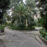 Ci ritroviamo subito immersi in una oasi verde con aiuole circolari ricche di palme, pini, querce, arbusti, fiori e raffinati decori...